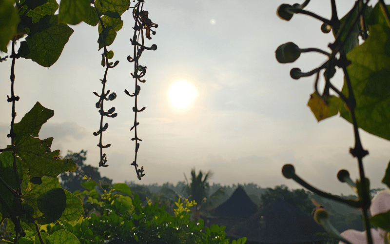 月イチオープンの飛騨サロン|自然と命に触れる時間 1 5 【出張産前産後ケアのジャイマー】|ユーファイ・マタニティ・カウンセリング