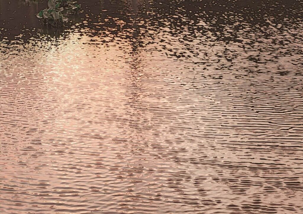 安心のなかでほどけるもの