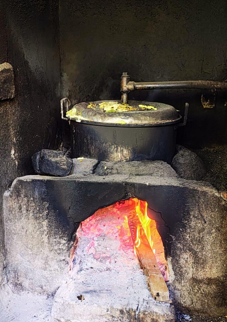 1 3 【出張産前産後ケアのジャイマー】｜ユーファイ・マタニティ・カウンセリング