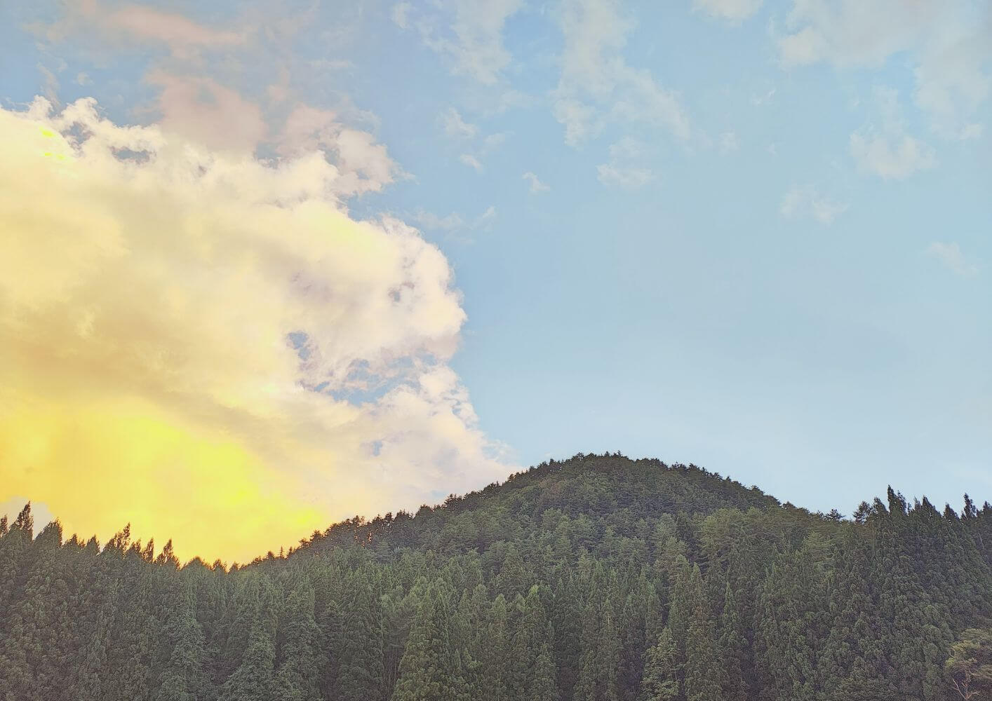 安心のなかでほどけるもの