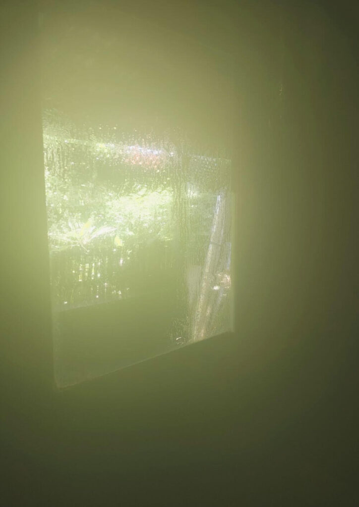 3 1 【出張産前産後ケアのジャイマー】｜ユーファイ・マタニティ・カウンセリング