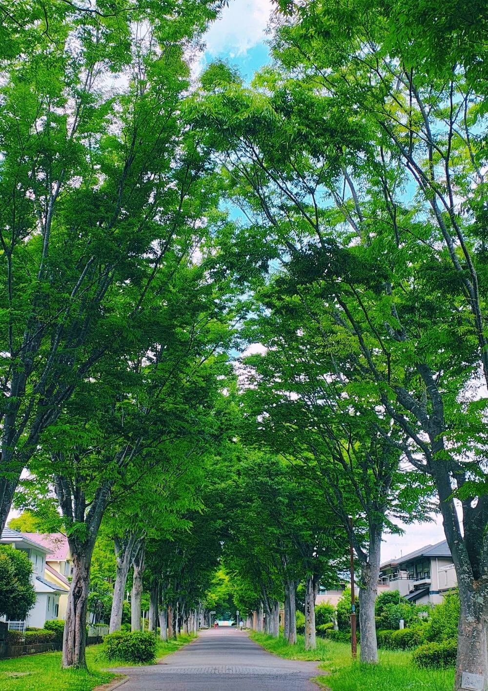 私に戻れた産後ケア